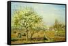 Camille Pissarro Le Verger The Orchard Art Print Poster-null-Framed Stretched Canvas