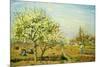 Camille Pissarro Le Verger The Orchard Art Print Poster-null-Mounted Poster