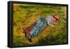 Camille Pissarro Peasant Woman Lying in the Grass Art Print Poster-null-Framed Poster