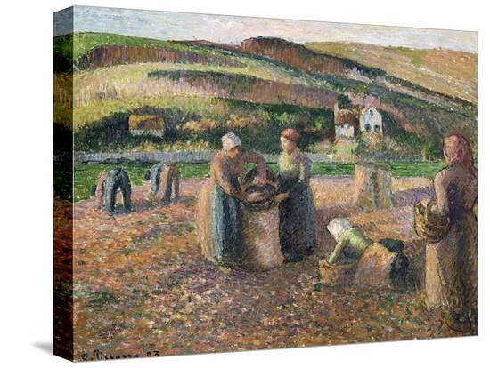 Stretched Canvas Print, , large