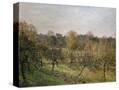 Stretched Canvas