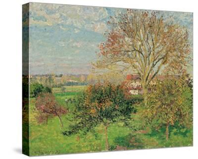 'The big walnut tree, autumn morning, Éragny' Stretched Canvas Print