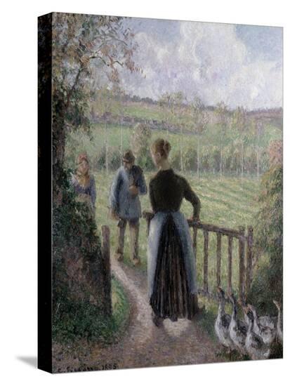 Stretched Canvas Print, , large