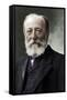 Camille Saint-Saens (1835-1921), French composer, organist, conductor, and pianist of the Romanti-Nadar-Framed Stretched Canvas