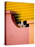 Caminito Avenue, La Boca District, Buenos Aires, Argentina-Stuart Westmoreland-Stretched Canvas