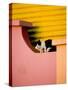 Caminito Avenue, La Boca District, Buenos Aires, Argentina-Stuart Westmoreland-Stretched Canvas