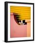 Caminito Avenue, La Boca District, Buenos Aires, Argentina-Stuart Westmoreland-Framed Photographic Print