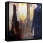 Camino-Gideon Ansell-Framed Stretched Canvas