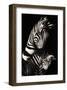 Camo-Zebra-null-Framed Premium Giclee Print