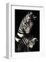 Camo-Zebra-null-Framed Premium Giclee Print