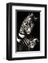 Camo-Zebra-null-Framed Art Print