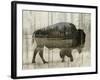 Camouflage Animals - Bison-Tania Bello-Framed Giclee Print