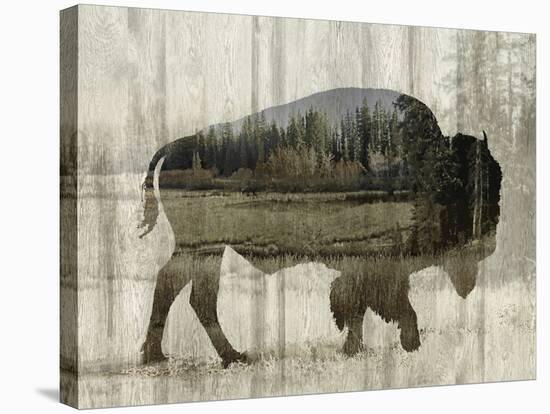 Camouflage Animals - Bison-Tania Bello-Stretched Canvas