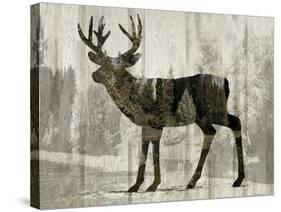 Camouflage Animals - Deer-Tania Bello-Stretched Canvas