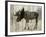 Camouflage Animals - Moose-Tania Bello-Framed Giclee Print