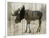 Camouflage Animals - Moose-Tania Bello-Framed Giclee Print