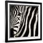 Camouflage I-Susann Parker-Framed Photographic Print