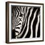 Camouflage I-Susann Parker-Framed Photographic Print