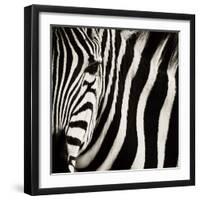 Camouflage I-Susann Parker-Framed Photographic Print