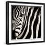 Camouflage I-Susann Parker-Framed Photographic Print