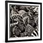 Camouflage II-Susann Parker-Framed Photographic Print