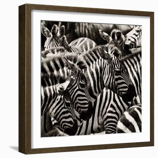 Camouflage II-Susann Parker-Framed Photographic Print