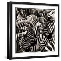 Camouflage II-Susann Parker-Framed Photographic Print