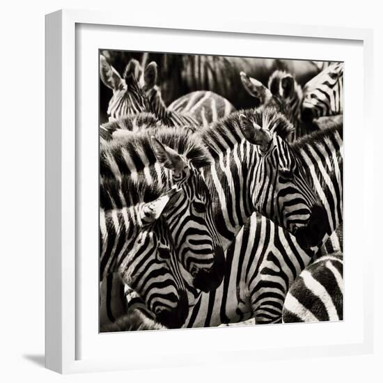 Camouflage II-Susann Parker-Framed Photographic Print