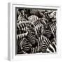 Camouflage II-Susann Parker-Framed Photographic Print