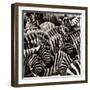 Camouflage II-Susann Parker-Framed Photographic Print