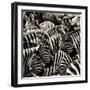 Camouflage II-Susann Parker-Framed Photographic Print