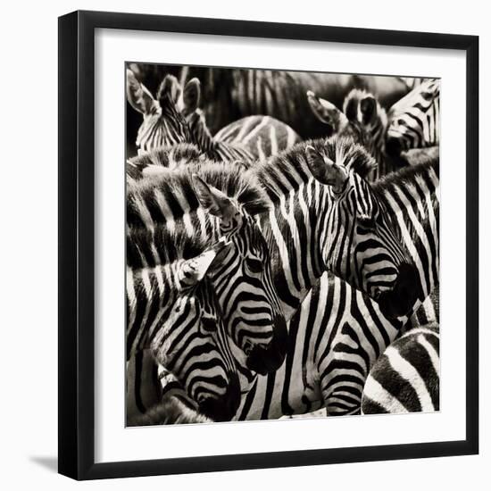 Camouflage II-Susann Parker-Framed Premium Photographic Print