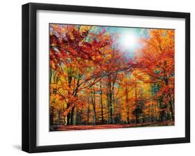 Camouflage-Philippe Sainte-Laudy-Framed Premium Photographic Print