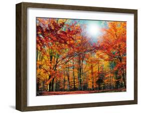 Camouflage-Philippe Sainte-Laudy-Framed Photographic Print