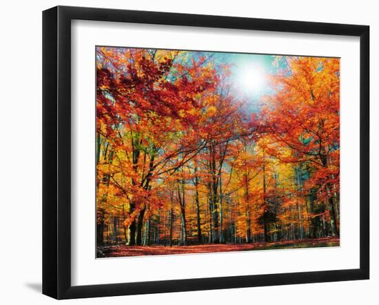 Camouflage-Philippe Sainte-Laudy-Framed Photographic Print