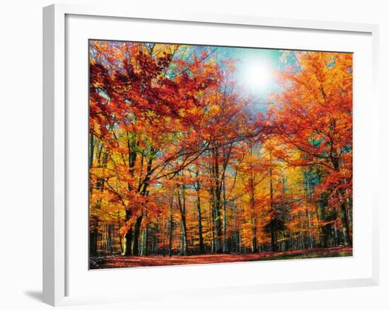 Camouflage-Philippe Sainte-Laudy-Framed Photographic Print