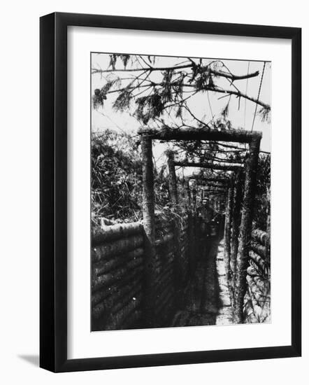 Camouflaged Communication Trench Near Hill 60 in the Ypres Sector During World War I-Robert Hunt-Framed Photographic Print