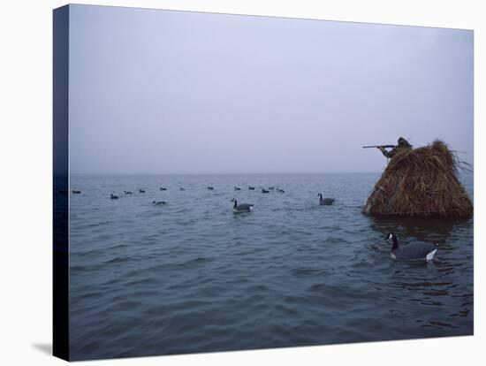 Camouflaged Hunter Shooting Ducks-null-Stretched Canvas