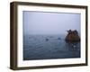 Camouflaged Hunter Shooting Ducks-null-Framed Premium Photographic Print