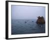 Camouflaged Hunter Shooting Ducks-null-Framed Photographic Print