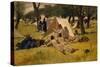 Camp, 1873-Giovanni Fattori-Stretched Canvas