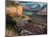 Camp Along the Timbercreek-Jack Sorenson-Mounted Art Print