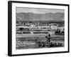 Camp at Fort Bliss, Picket Lines and Battery Parks, During US's Mexican Punitive Expedition-C^ Tucker Beckett-Framed Premium Photographic Print