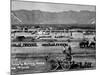 Camp at Fort Bliss, Picket Lines and Battery Parks, During US's Mexican Punitive Expedition-C^ Tucker Beckett-Mounted Premium Photographic Print