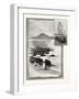 Camp Bay. Apes' Hill, Africa, in the Distance-null-Framed Giclee Print