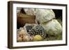 Camp Food at a Reenactment on the Yorktown Battlefield, Virginia-null-Framed Giclee Print