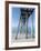 Camp Helen Pier-John Gynell-Framed Giclee Print