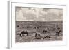 Camp in Valley of Alkali, Black Hills, South Dakota, United States-null-Framed Giclee Print