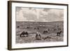 Camp in Valley of Alkali, Black Hills, South Dakota, United States-null-Framed Giclee Print