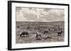 Camp in Valley of Alkali, Black Hills, South Dakota, United States-null-Framed Giclee Print